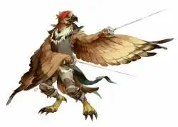 Aarakocra dnd rogue